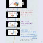 Attend a conference on the topic of dyslexia